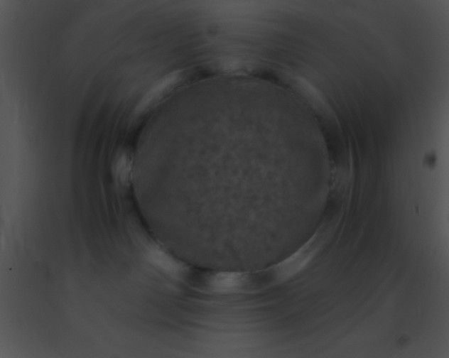 X0000091550142200708311402