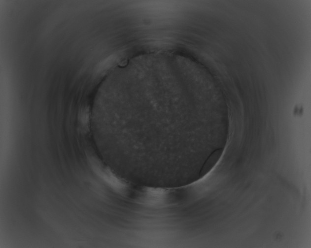 X0000091550144200708311402