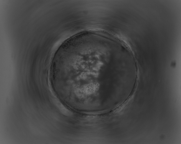 X0000091550145200708311401