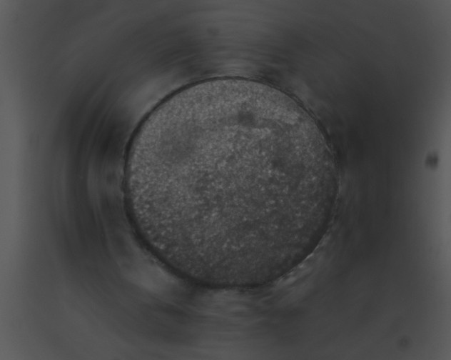 X0000091550146200708311401