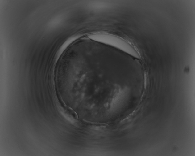 X0000091550147200708311401