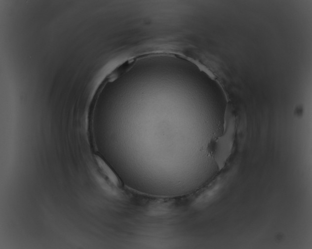 X0000091550148200708311401
