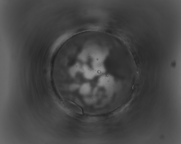 X0000091550149200708311401