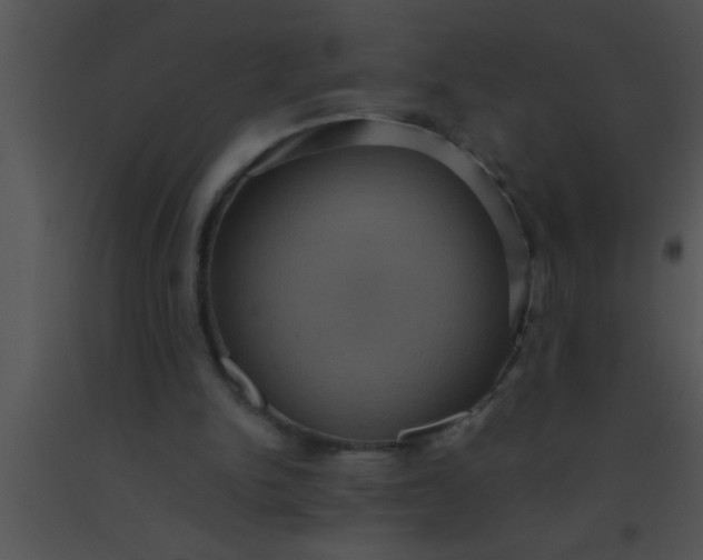 X0000091550150200708311401
