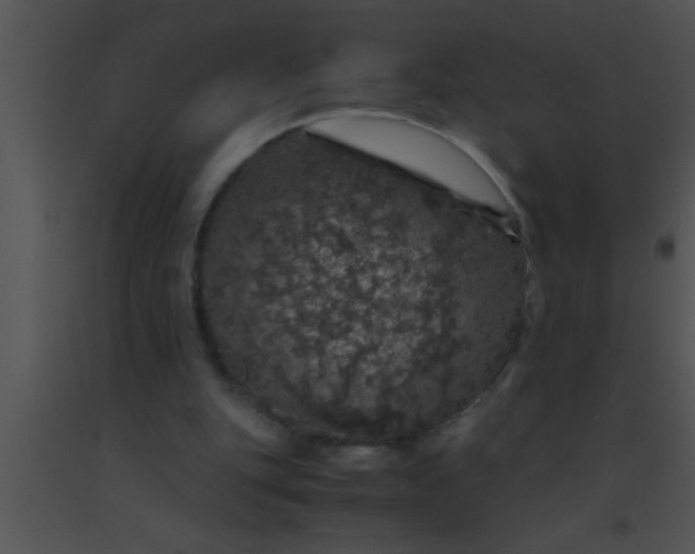 X0000091550151200708311401