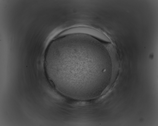 X0000091550152200708311401