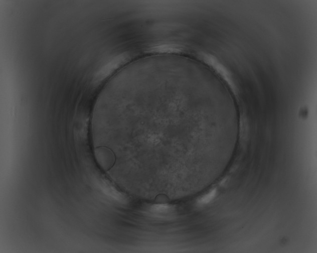 X0000091550153200708311401