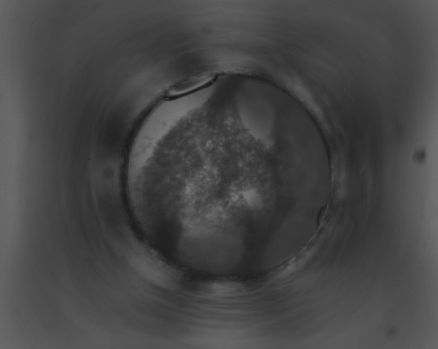 X0000091550154200708311401