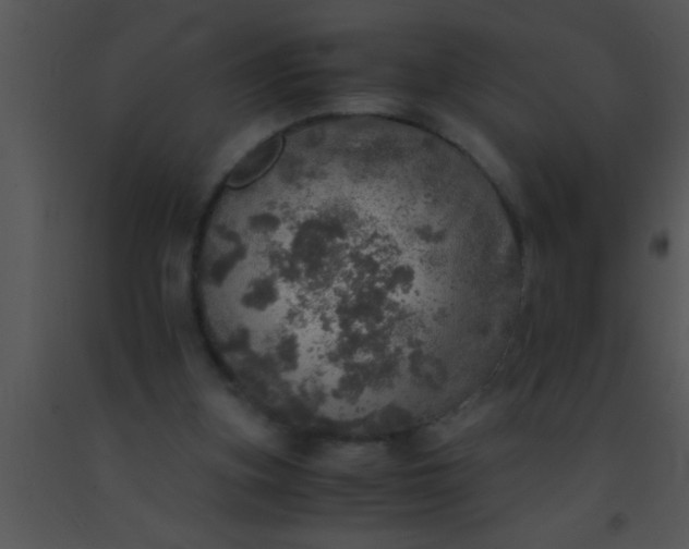 X0000091550155200708311401
