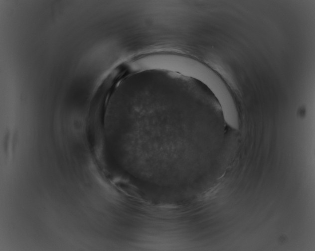 X0000091550156200708311401
