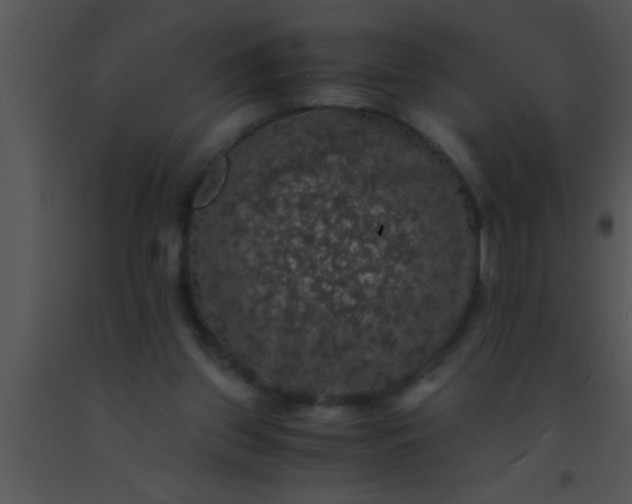 X0000091550157200708311401