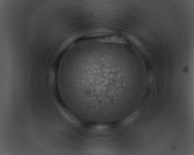 X0000091550158200708311401