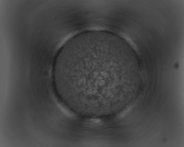 X0000091550159200708311401