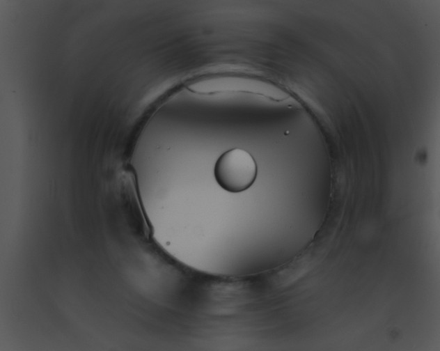 X0000091550160200708311401