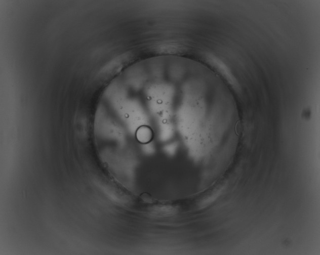 X0000091550161200708311401