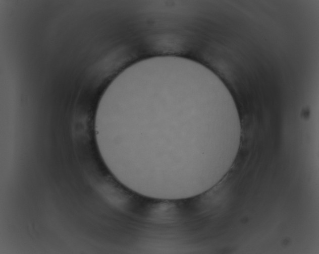 X0000091550162200708311401