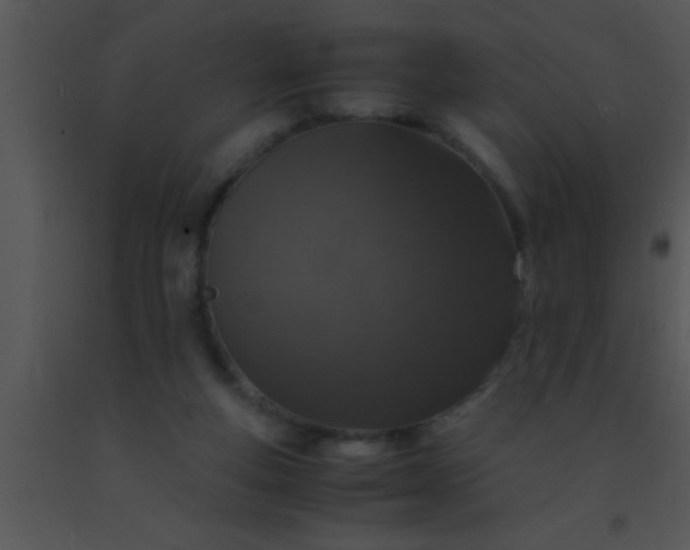 X0000091550163200708311401