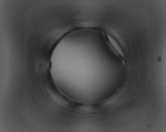 X0000091550164200708311401