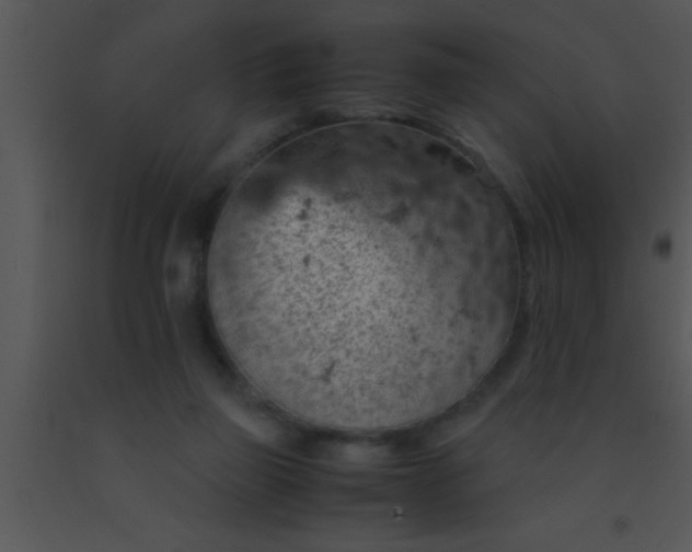 X0000091550165200708311401
