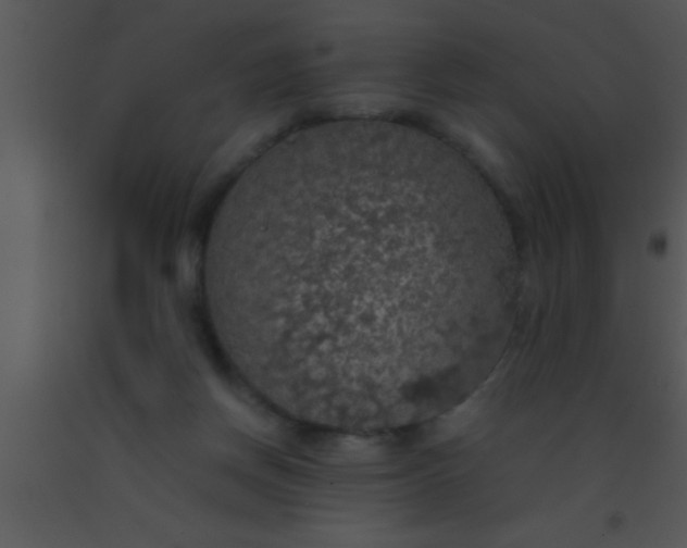 X0000091550166200708311401