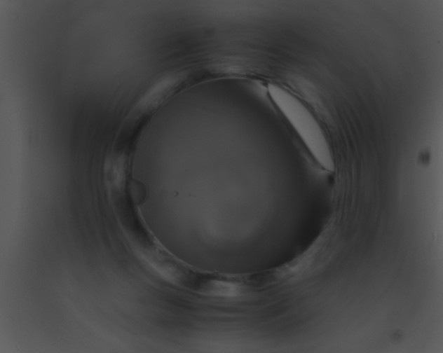 X0000091550167200708311401