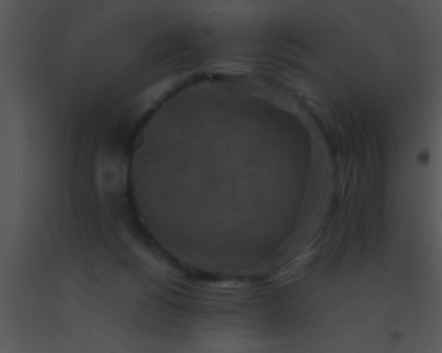 X0000091550168200708311401