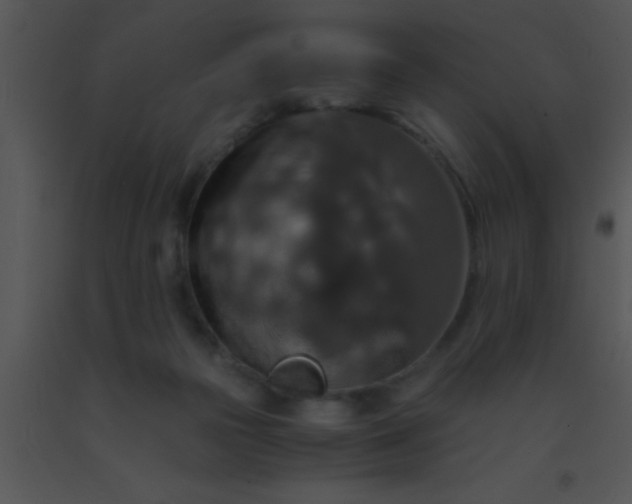 X0000091550169200708311401