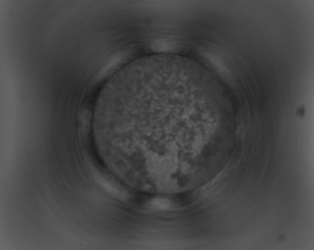 X0000091550171200708311401