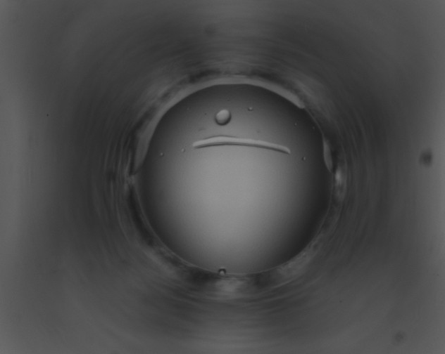 X0000091550172200708311401