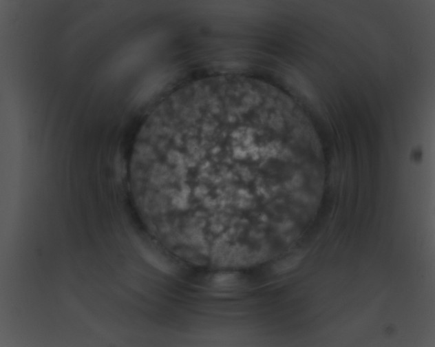 X0000091550173200708311401