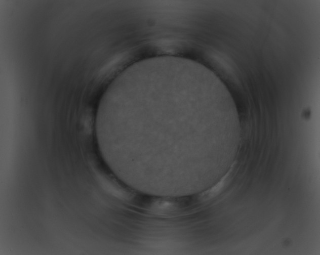 X0000091550174200708311401