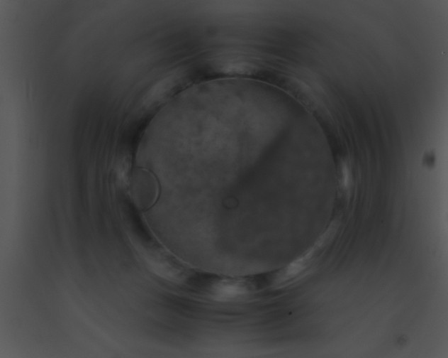 X0000091550175200708311401