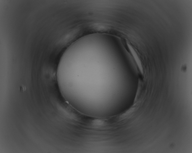 X0000091550176200708311401