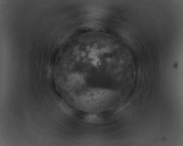 X0000091550177200708311401