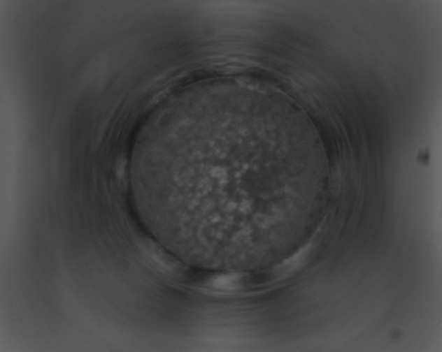 X0000091550178200708311402