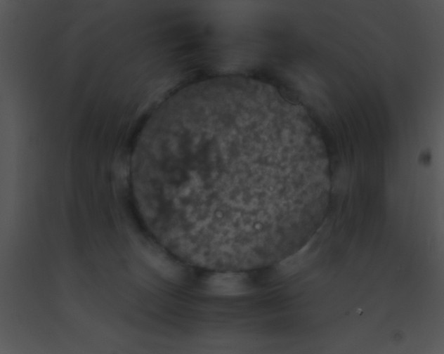 X0000091550179200708311402