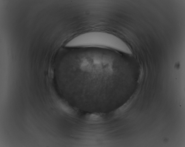 X0000091550180200708311402