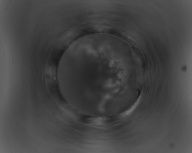 X0000091550182200708311402