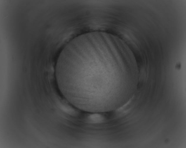 X0000091550183200708311402