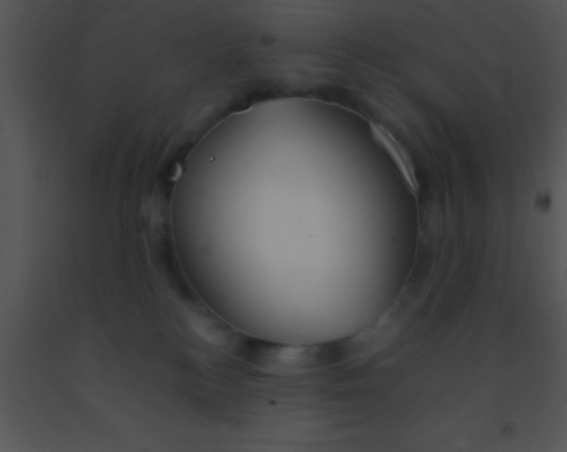 X0000091550184200708311402