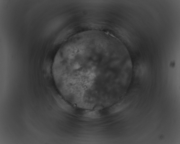 X0000091550185200708311402