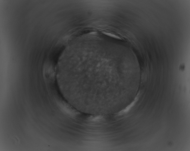 X0000091550186200708311402