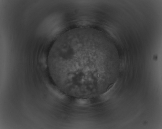 X0000091550187200708311402