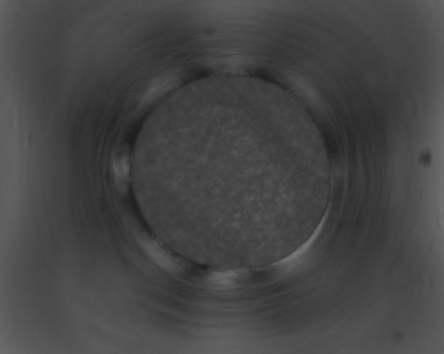 X0000091550190200708311402