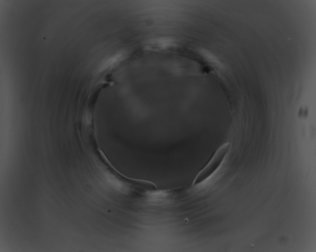 X0000091550192200708311402