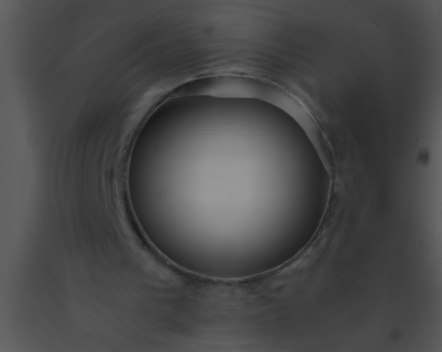 X0000091550193200708311401
