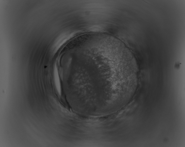 X0000091550194200708311401