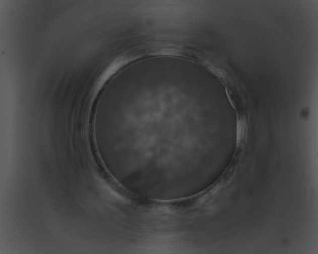 X0000091550195200708311401