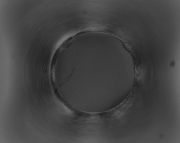 X0000091550196200708311401