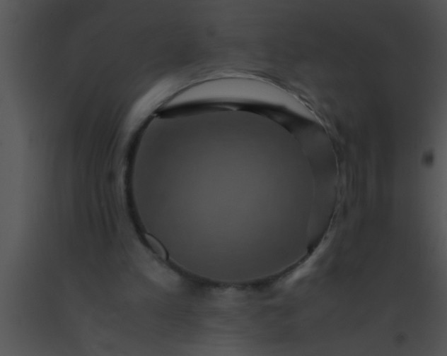 X0000091550197200708311401